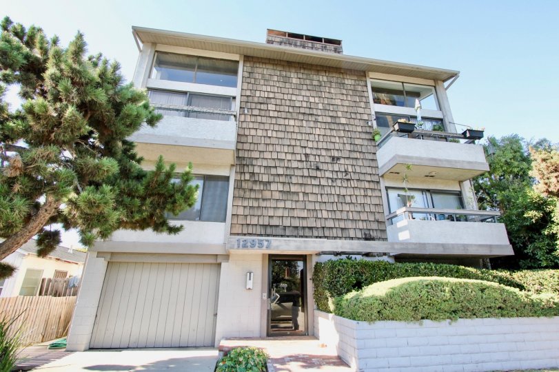 Bonaparte Mar Vista CA